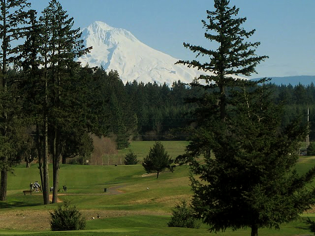 green grass with the flag in the hole.