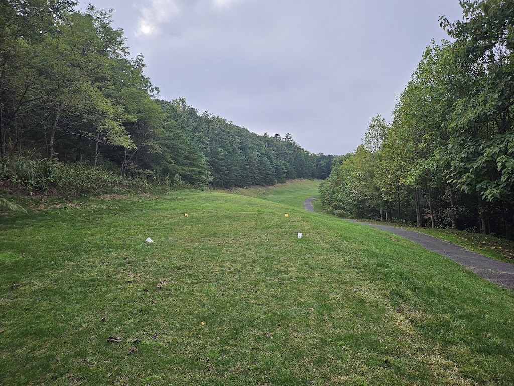 Panoramic view of a lush green golf course at Stone Mountain Golf Club. Smooth