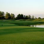 green grass with the flag in the hole.