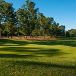 green grass with the flag in the hole.