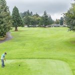 green grass with the flag in the hole.