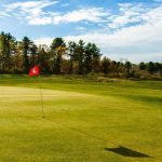 green grass with the flag in the hole.