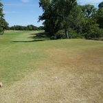 green grass with the flag in the hole.