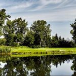 Panoramic view of a lush green golf course at TPC Michigan. Smooth