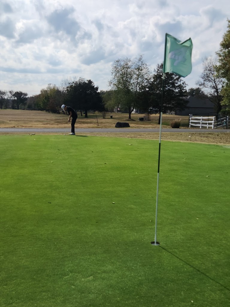 Panoramic view of a lush green golf course at Tahlequah city course/RIVERLINKS GC. Smooth