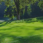 green grass with the flag in the hole.