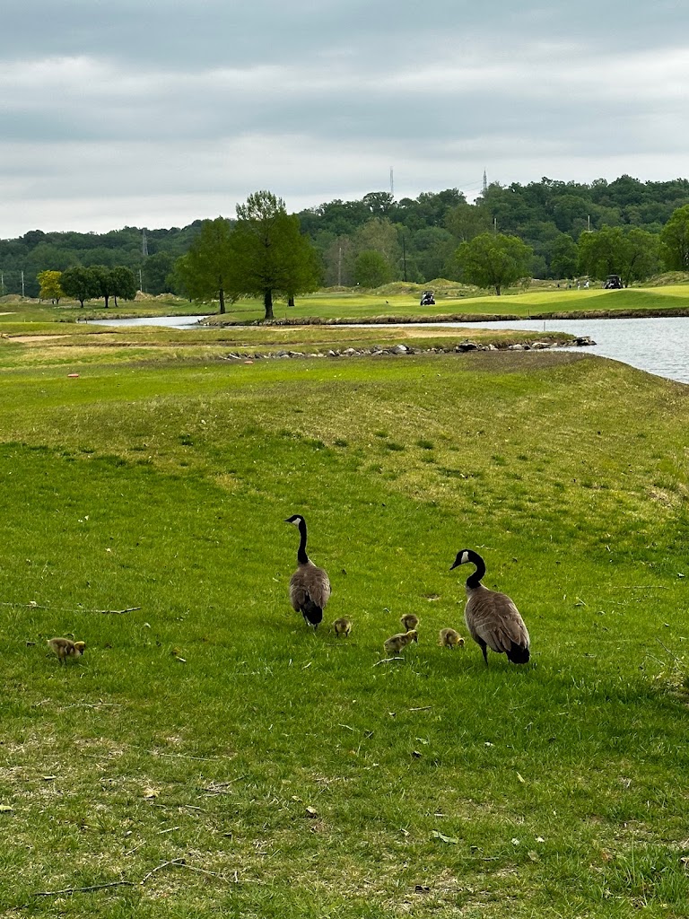 Panoramic view of a lush green golf course at Tapawingo National Golf Club. Smooth