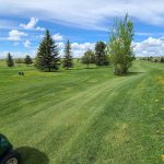 green grass with the flag in the hole.