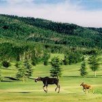 Panoramic view of a lush green golf course at Targhee Village Golf Course. Smooth