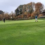 green grass with the flag in the hole.