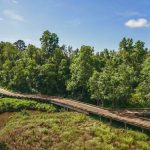 Panoramic view of a lush green golf course at The Bridges At Tartan Pines | Golf Courses Enterprise Alabama. Smooth