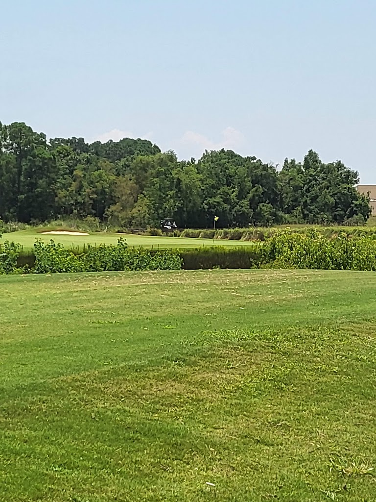 green grass with the flag in the hole.