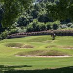 green grass with the flag in the hole.