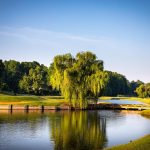 Panoramic view of a lush green golf course at The Cardinal by Pete Dye. Smooth