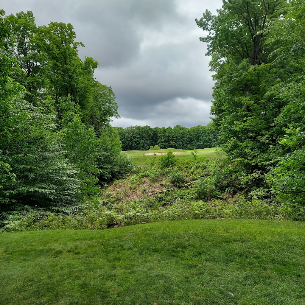 Panoramic view of a lush green golf course at The Chief Golf Course. Smooth