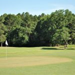 green grass with the flag in the hole.