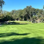 Panoramic view of a lush green golf course at The Country Club. Smooth