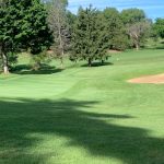 green grass with the flag in the hole.