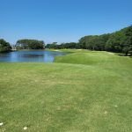 green grass with the flag in the hole.