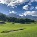 green grass with the flag in the hole.