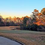 green grass with the flag in the hole.