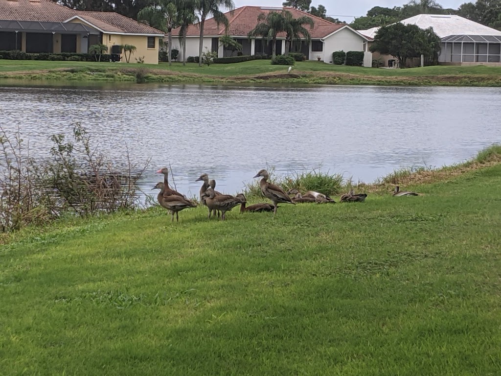 Panoramic view of a lush green golf course at The Links Golf Course. Smooth