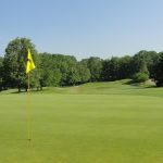 green grass with the flag in the hole.