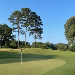 green grass with the flag in the hole.