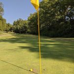 green grass with the flag in the hole.