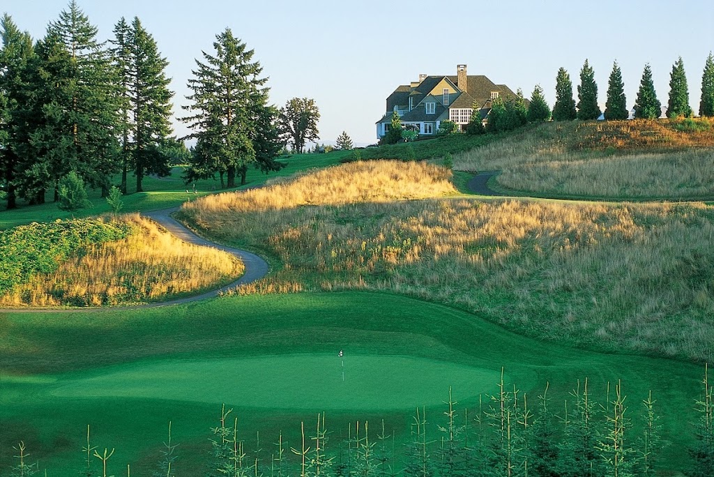 green grass with the flag in the hole.