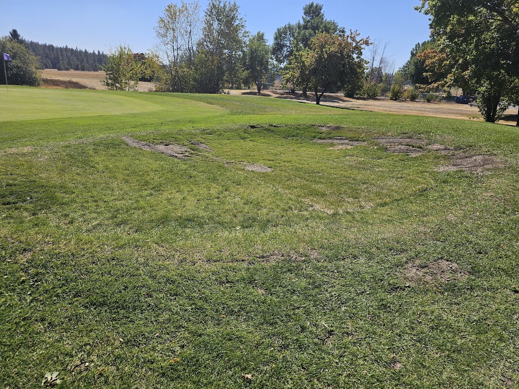 Panoramic view of a lush green golf course at The Plains Golf Course. Smooth