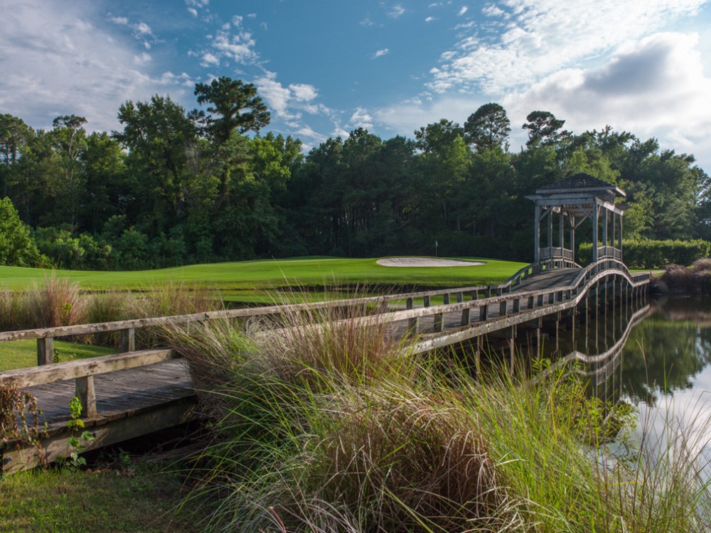 Panoramic view of a lush green golf course at The Pointe Golf Club. Smooth