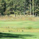 green grass with the flag in the hole.