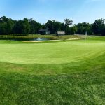 green grass with the flag in the hole.