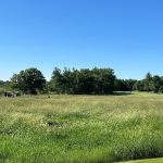 Panoramic view of a lush green golf course at The Refuge Golf Club. Smooth