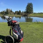 green grass with the flag in the hole.