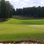 green grass with the flag in the hole.