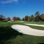 green grass with the flag in the hole.