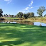 green grass with the flag in the hole.