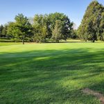 green grass with the flag in the hole.