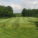 green grass with the flag in the hole.