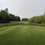 green grass with the flag in the hole.