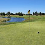 green grass with the flag in the hole.