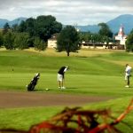 green grass with the flag in the hole.