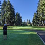 green grass with the flag in the hole.