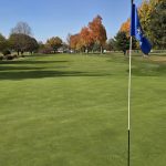 green grass with the flag in the hole.