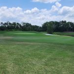 green grass with the flag in the hole.