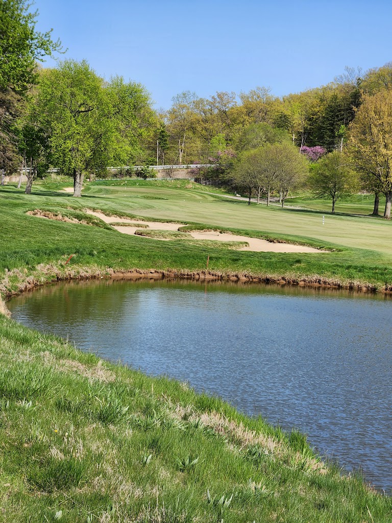 Panoramic view of a lush green golf course at Valley of the Eagles Golf Club. Smooth