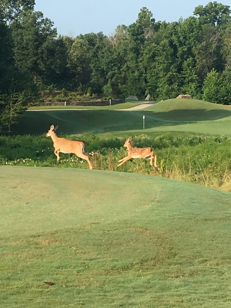 Panoramic view of a lush green golf course at Verdict Ridge Golf & Country Club. Smooth