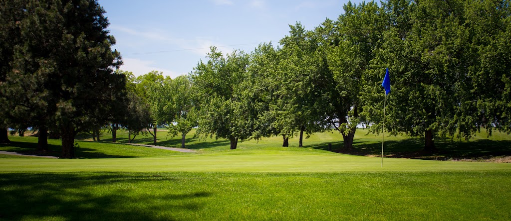 Panoramic view of a lush green golf course at Veterans Memorial Golf Course. Smooth